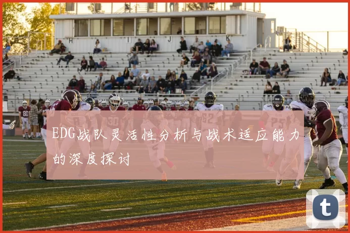 EDG战队灵活性分析与战术适应能力的深度探讨