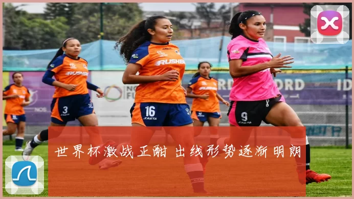 世界杯激战正酣 出线形势逐渐明朗