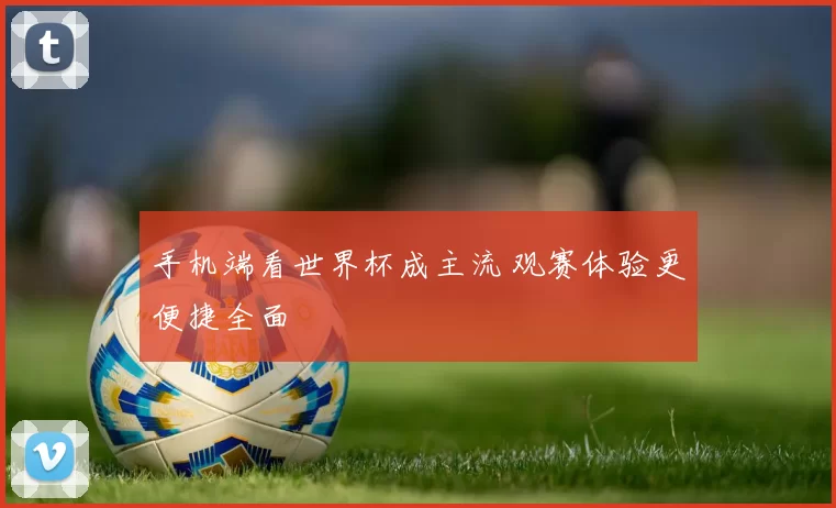 手机端看世界杯成主流 观赛体验更便捷全面