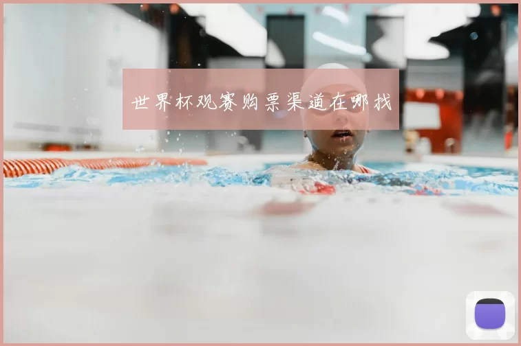 世界杯观赛购票渠道在哪找