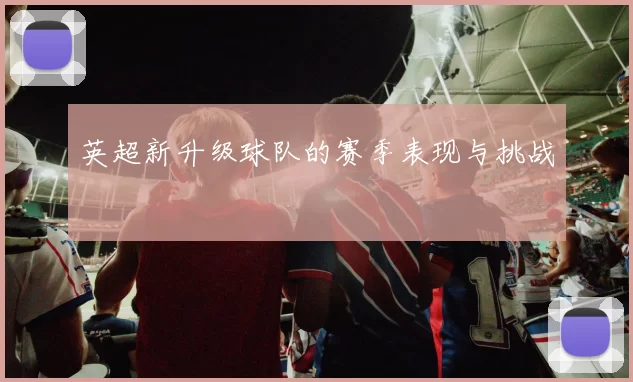 英超新升级球队的赛季表现与挑战