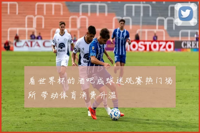 看世界杯的酒吧成球迷观赛热门场所 带动体育消费升温