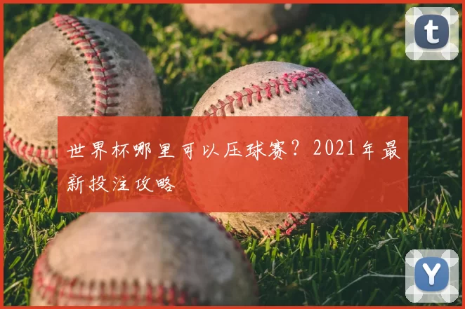 世界杯哪里可以压球赛?2021年最新投注攻略