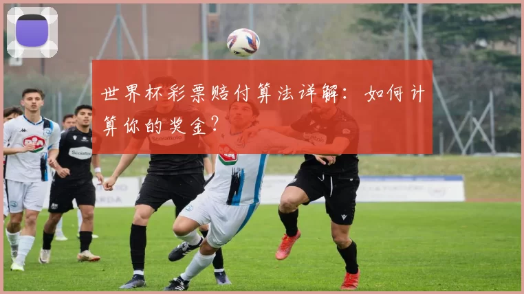 世界杯彩票赔付算法详解:如何计算你的奖金?