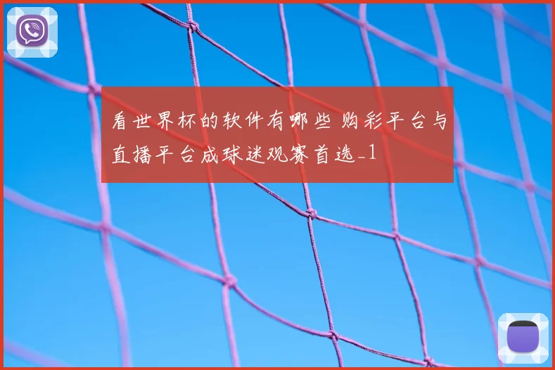 看世界杯的软件有哪些 购彩平台与直播平台成球迷观赛首选_1