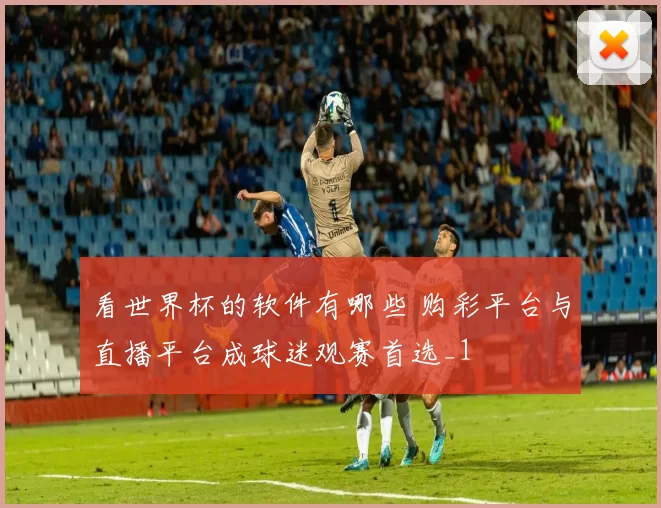 看世界杯的软件有哪些 购彩平台与直播平台成球迷观赛首选_1