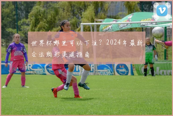 世界杯哪里可以下注?2024年最新合法购彩渠道指南
