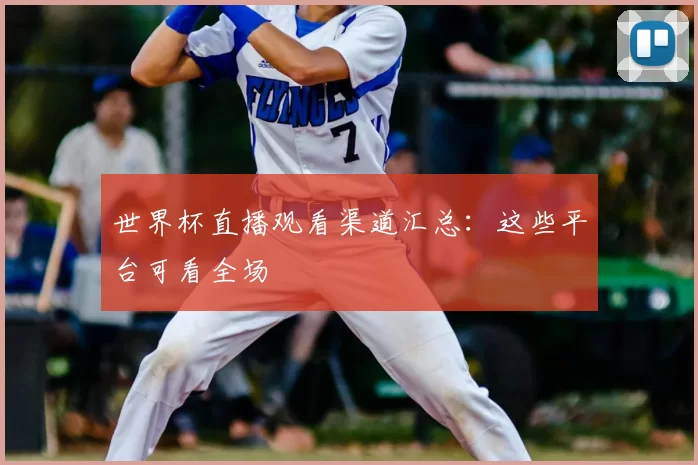 世界杯直播观看渠道汇总:这些平台可看全场