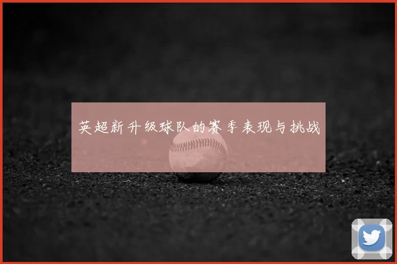 英超新升级球队的赛季表现与挑战