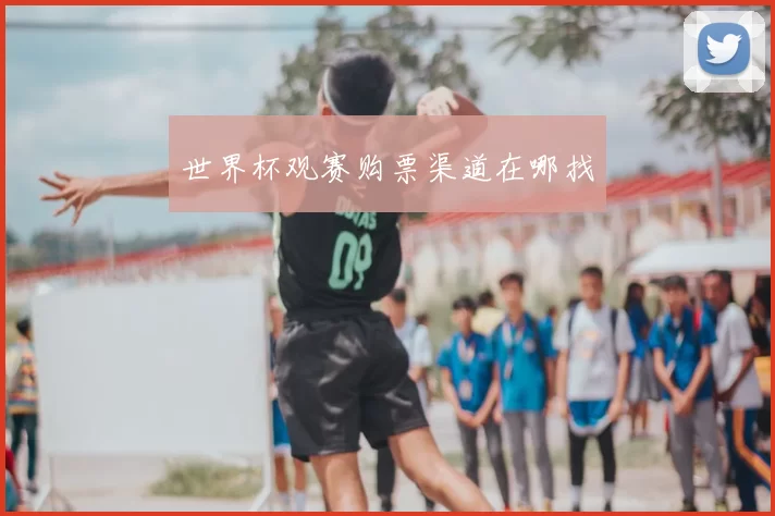 世界杯观赛购票渠道在哪找