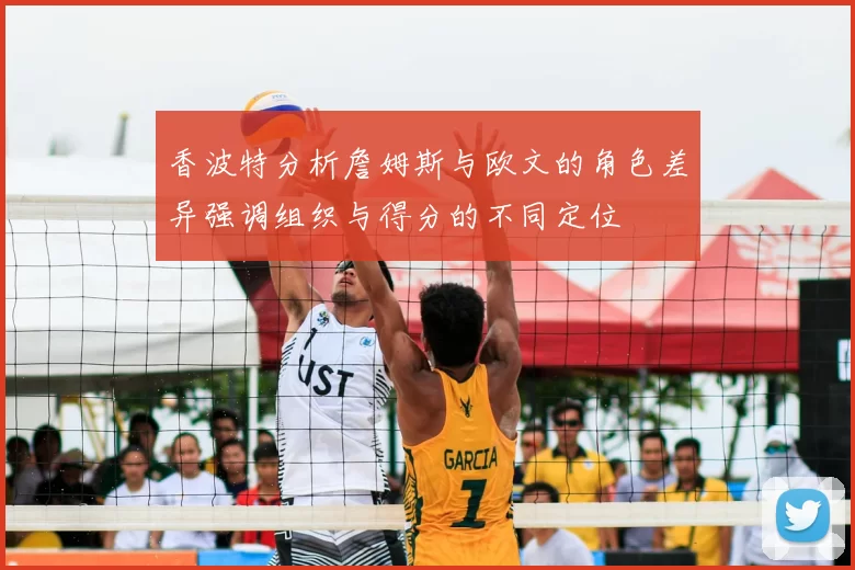 香波特分析詹姆斯与欧文的角色差异强调组织与得分的不同定位
