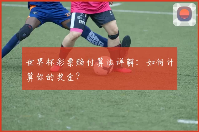 世界杯彩票赔付算法详解：如何计算你的奖金？