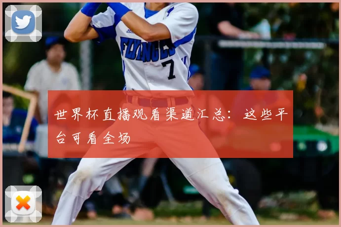 世界杯直播观看渠道汇总：这些平台可看全场