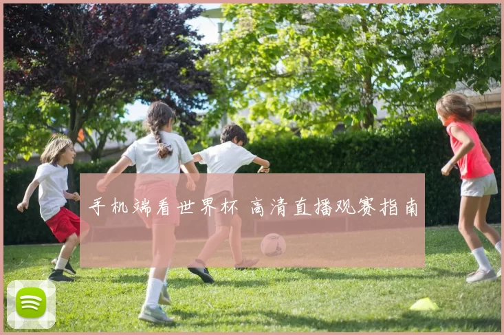 手机端看世界杯 高清直播观赛指南