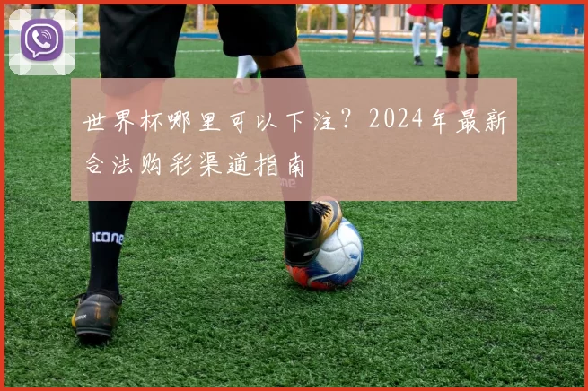 世界杯哪里可以下注?2024年最新合法购彩渠道指南