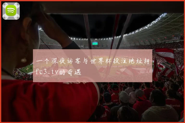 一个深夜访客与世界杯投注地址柯fc3_tv的奇遇