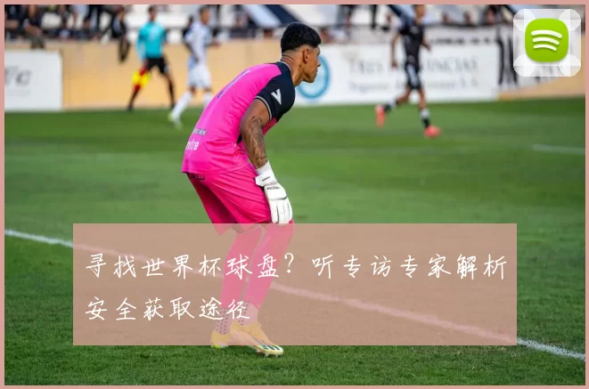 寻找世界杯球盘?听专访专家解析安全获取途径