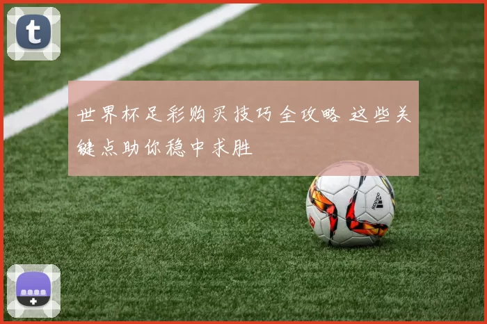 世界杯足彩购买技巧全攻略 这些关键点助你稳中求胜