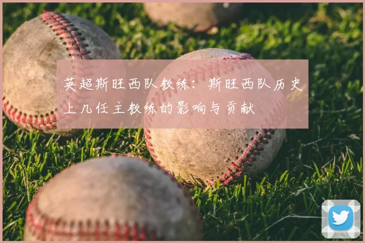 英超斯旺西队教练:斯旺西队历史上几任主教练的影响与贡献