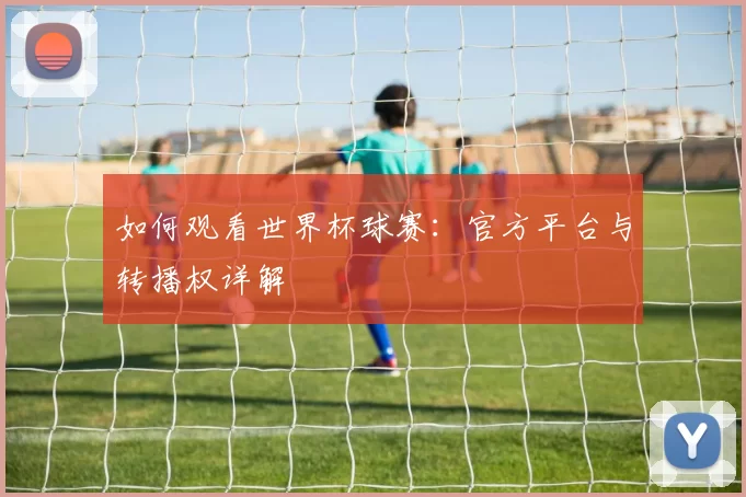 如何观看世界杯球赛:官方平台与转播权详解